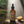 Load and play video in Gallery viewer, Batana Oil 2 oz.