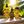 Load image into Gallery viewer, Batana Oil 2 oz.