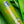 Load image into Gallery viewer, OLIVE ‣ Moisturizing Sheen Spray 14 oz.