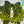 Load image into Gallery viewer, Hemp & Avocado Leaf Legacy Bundle w/FREE TOTE