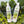 Load image into Gallery viewer, Hemp & Avocado Leaf Legacy Bundle w/FREE TOTE