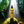 Load image into Gallery viewer, Batana Oil Spray Treatment 6 oz. -  COMING SOON
